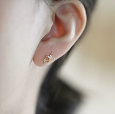 Shimmering Star Earrings